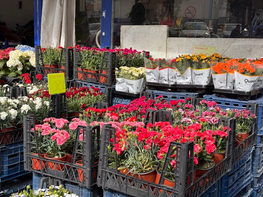 An outdoor display of various potted flowering plants, primarily pink and red carnations in terracotta pots arranged in black plastic crates. The arrangement is set on plastic crates with some white, 